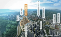 贷款采办首套商品住房庭